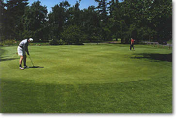 Course Image