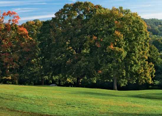 New York Hospital Golf Course