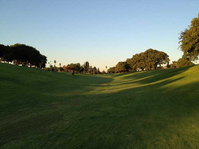 Course Image