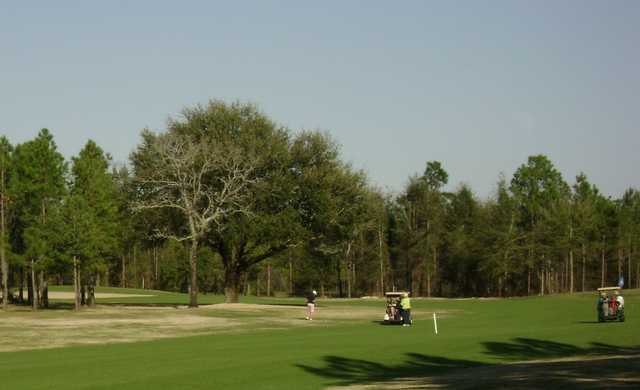 Course Image