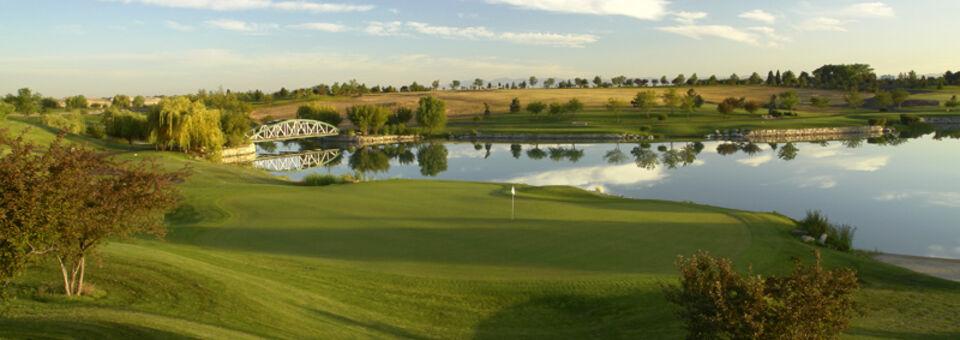 Falcon Crest - Championship Course