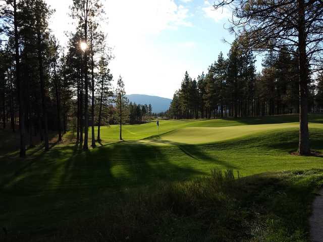A sunny day view of green #4 at Wilderness Club