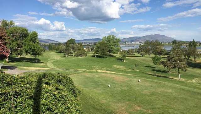 Course Image