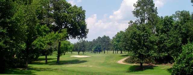 Course Image