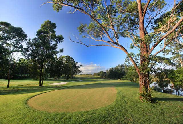 A view from a tee at Bungool Course from Riverside Oaks Golf Club